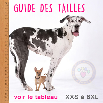 Guide des tailles pour chien